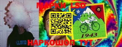 твердый Краснознаменск