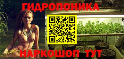 твердый Краснодар