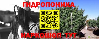 твердый Краснодар